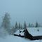 IMG_0417.JPG (800x533, 35.22 KB)
