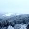 IMG_0418.JPG (800x296, 36.10 KB)
