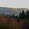 IMG_0086 (2).JPG (800x533, 59.59 KB)
