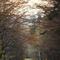 IMG_0104.JPG (400x600, 71.29 KB)