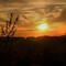IMG_0125.JPG (800x533, 39.84 KB)
