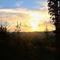 IMG_0115.JPG (800x533, 56.24 KB)
