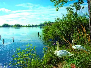 Tip kam na nedělní výlet - vydejte se k rybníkům