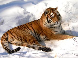 ZOO a zámek Zlín–Lešná