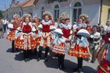 PRAVIDELNÉ FOLKLORNÍ A TRADIČNÍ  AKCE