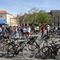 IMG_4889.JPG (800x533, 113.56 KB)