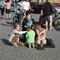 IMG_0473.JPG (800x533, 94.18 KB)