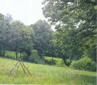 C:\Documents and Settings\muzeum\Plocha\Lazy.jpg