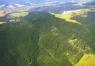 C:\Documents and Settings\muzeum\Plocha\Sidonie.jpg