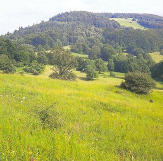 C:\Documents and Settings\muzeum\Plocha\Kaňoury.jpg