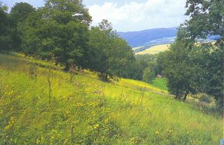 C:\Documents and Settings\muzeum\Plocha\Pod Horou.jpg