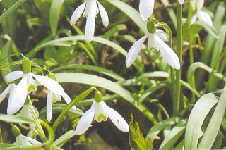 C:\Documents and Settings\muzeum\Plocha\Pod Vrchy.jpg