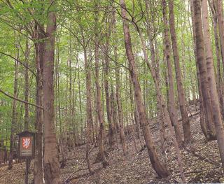 C:\Documents and Settings\muzeum\Plocha\Chladný vrch.jpg