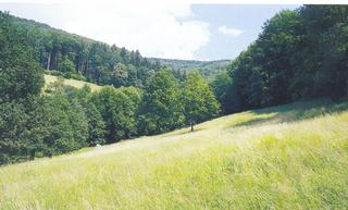 C:\Documents and Settings\muzeum\Plocha\Hluboče.jpg