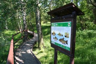 Naučná stezka v kasárnách Valmez_resize.JPG