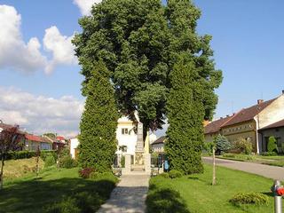 obecMartinicekvren2005069_u.jpg