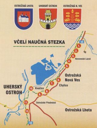 VNS 001.jpg