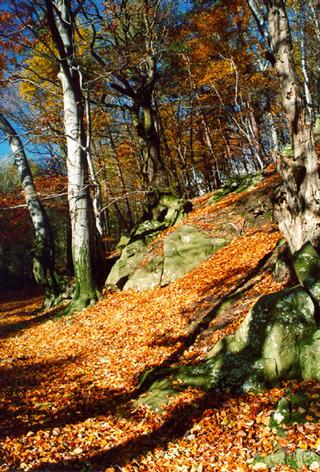 C:\Documents and Settings\OÚ Buchlovice\Plocha\Ve_svahu_Barborky.jpg