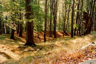 C:\Documents and Settings\OÚ Buchlovice\Plocha\Valy hradiska na Holém kopci.jpg