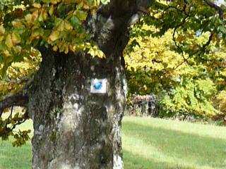 C:\Documents and Settings\mandakova.MANDAKOVA-NB\Plocha\PROJEKT HYJÉ\Koňské trasy\Beskydy\stezka8.JPG