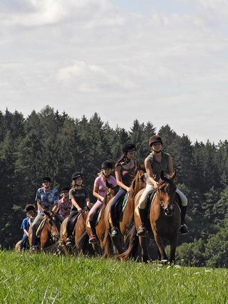 C:\Documents and Settings\mandakova.MANDAKOVA-NB\Plocha\PROJEKT HYJÉ\Distribuce HYJÉ\Podklady pro Na koni ZK\Fotky\Staj Lipina\NaPohlednici1.jpg