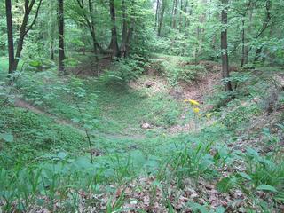 1024px-Obora_(přírodní_památka,_okres_KM)_3.jpg