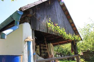 IMG_5634.JPG
