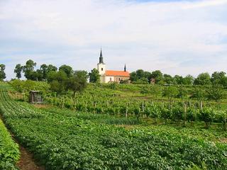 Kostelec - kostel sv. Václava.JPG