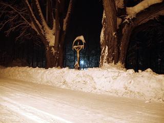 P1030014 retus urov syt doost.jpg