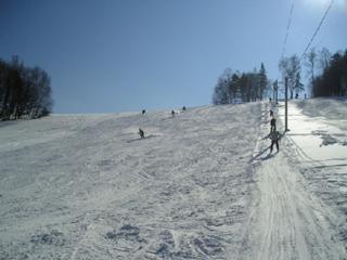 C:\Documents and Settings\divilkovav\Plocha\TIP-úprava\Editace\Seninka vlek.jpg