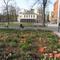 park Komenského 3.JPG