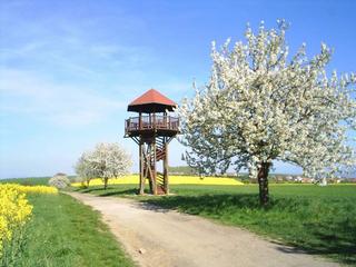 rozhledna Douby u Vážan_jarní foto_obecní-úřad.JPG
