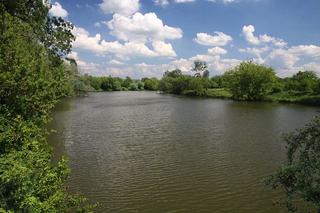 Certak_2014-05-21_1_n.jpg
