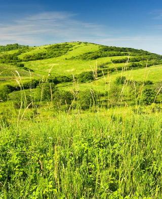 IMGP3519_Dunajovické kopce.jpg