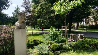 IMG_20190612_132152.jpg