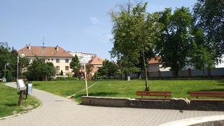IMG_20190612_151000.jpg