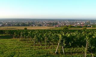 pohled na vracov.jpg