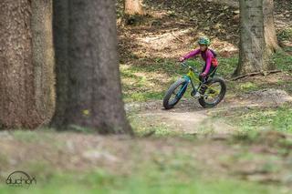 Bikepark Kyčerka_foto z webu.jpg