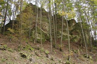 Zbořené zámky_zdroj nature.hyperlink.cz.jpg