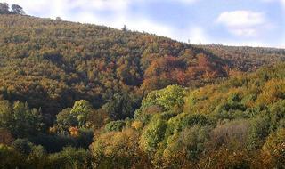 Maršava_zdroj nature.hyperlink.cz.jpg