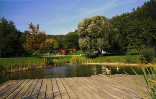 Amfík Bukovina.jpg