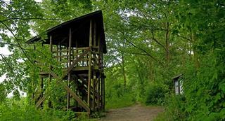 NS Lednické rybníky_IMGP3628.jpg