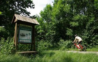 NS Lužní les_IMGP3577.jpg