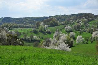 Pasekářská stezka1_Lenka Pechová.jpg