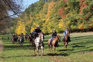 Hipocentrum Koryčany.jpg