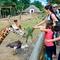 krmení žiraf_Zoo Zlín.jpg