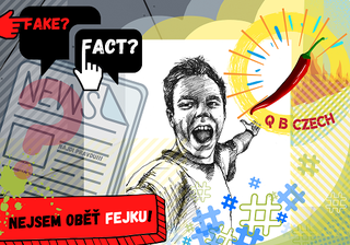 FAKE_.png